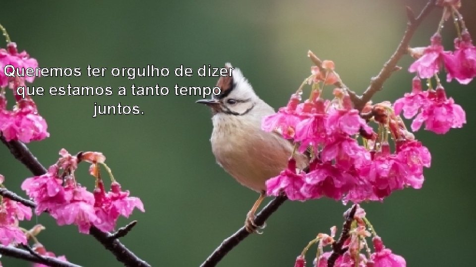Queremos ter orgulho de dizer que estamos a tanto tempo juntos. Queremos ter orgulho de dizer que estamos a tanto tempo juntos.