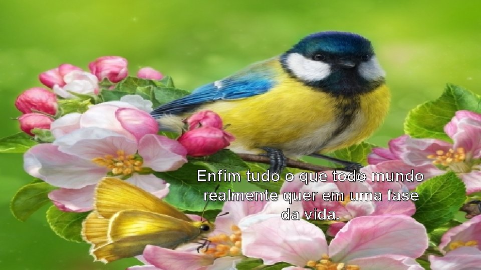 Enfim tudo o que todo mundo realmente quer em uma fase da vida. Enfim tudo o que todo mundo realmente quer em uma fase da vida.