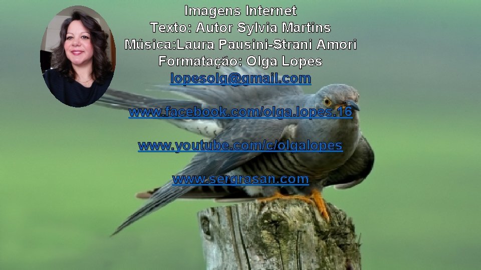 Imagens Internet Texto: Autor Sylvia Martins Música: Laura Pausini-Strani Amori Formatação: Olga Lopes lopesolg@gmail. Imagens Internet Texto: Autor Sylvia Martins Música: Laura Pausini-Strani Amori Formatação: Olga Lopes lopesolg@gmail.