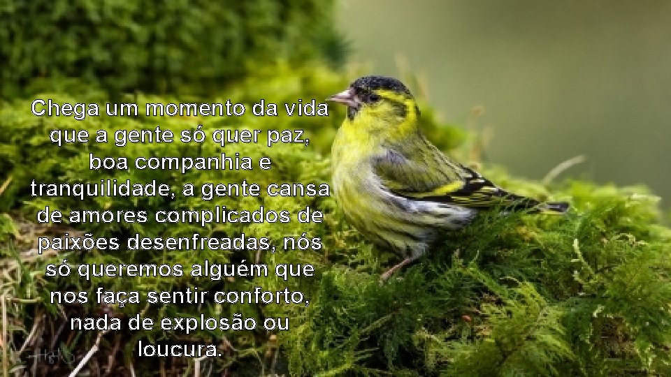 Chega um momento da vida que a gente só quer paz, boa companhia e Chega um momento da vida que a gente só quer paz, boa companhia e