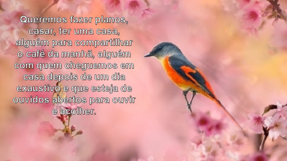 Queremos fazer planos, casar, ter uma casa, alguém para compartilhar o café da manhã, Queremos fazer planos, casar, ter uma casa, alguém para compartilhar o café da manhã,