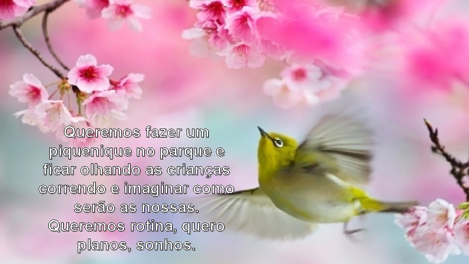 Queremos fazer um piquenique no parque e ficar olhando as crianças correndo e imaginar Queremos fazer um piquenique no parque e ficar olhando as crianças correndo e imaginar