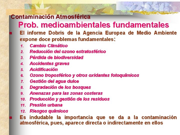 Contaminación Atmosférica Prob. medioambientales fundamentales. n El informe Dobris de la Agencia Europea de