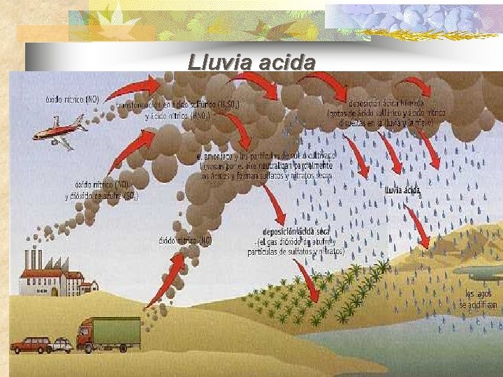 Lluvia acida 