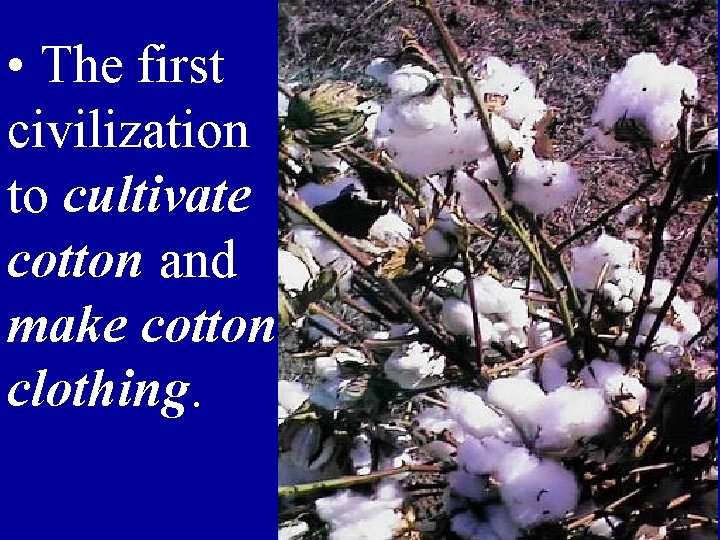  • The first civilization to cultivate cotton and make cotton clothing. 