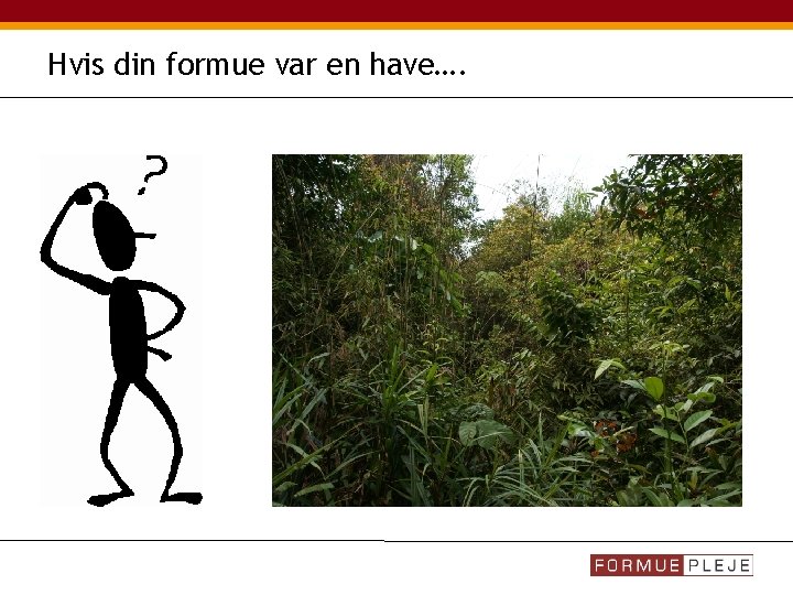 Hvis din formue var en have…. 