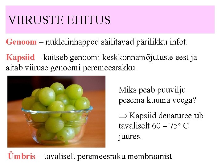 VIIRUSTE EHITUS Genoom – nukleiinhapped säilitavad pärilikku infot. Kapsiid – kaitseb genoomi keskkonnamõjutuste eest