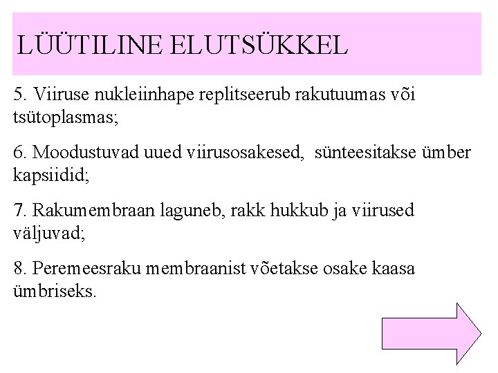 LÜÜTILINE ELUTSÜKKEL 5. Viiruse nukleiinhape replitseerub rakutuumas või tsütoplasmas; 6. Moodustuvad uued viirusosakesed, sünteesitakse