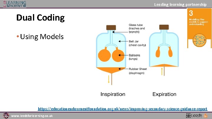 Leading learning partnership Dual Coding • Using Models https: //educationendowmentfoundation. org. uk/news/improving-secondary-science-guidance-report www. leedsforlearning.