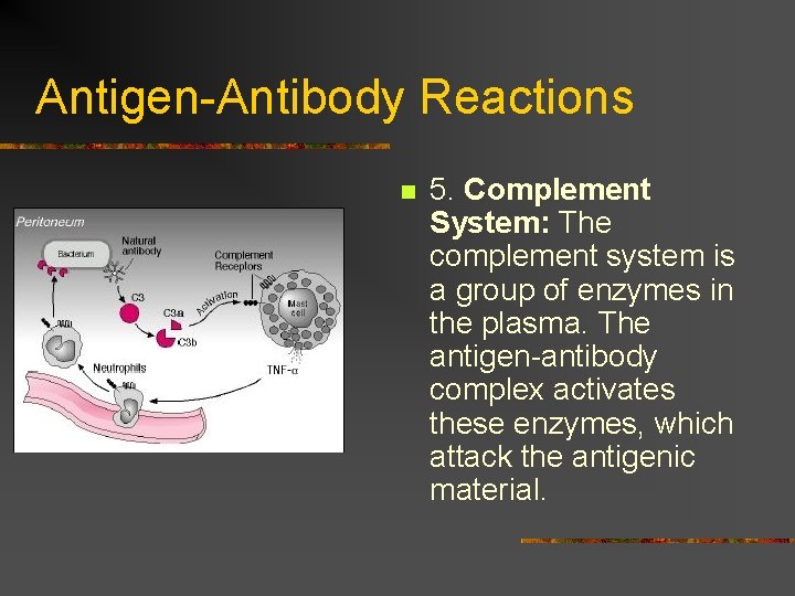 Antigen-Antibody Reactions n 5. Complement System: The complement system is a group of enzymes