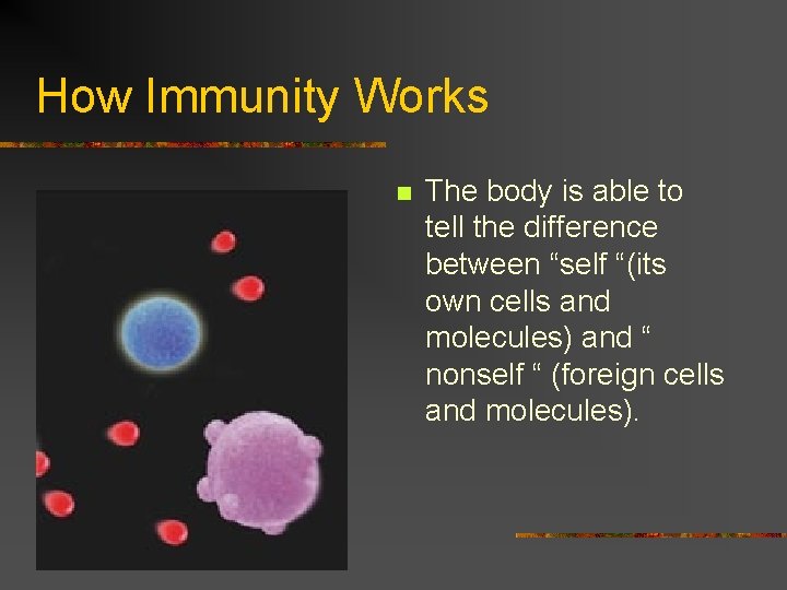 How Immunity Works n The body is able to tell the difference between “self