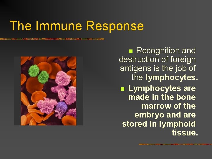 The Immune Response Recognition and destruction of foreign antigens is the job of the