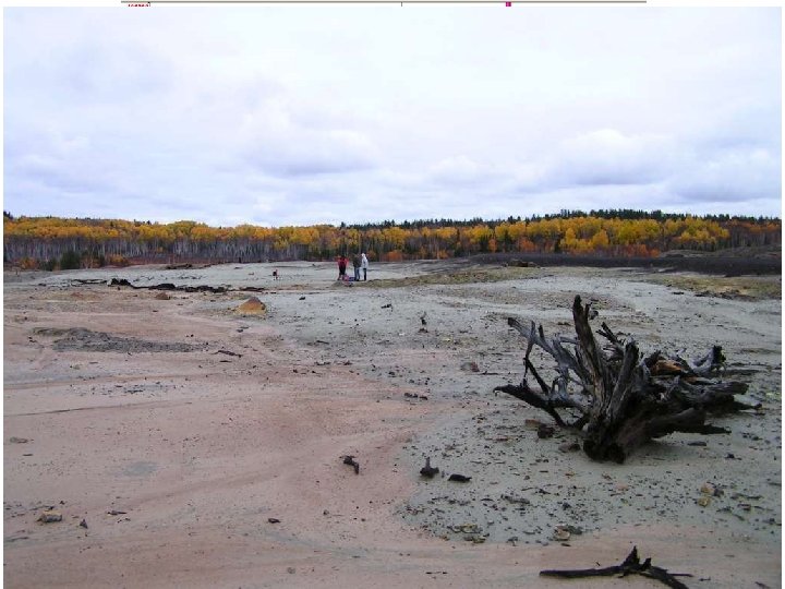 p. H = 2. 3 Aldermac 