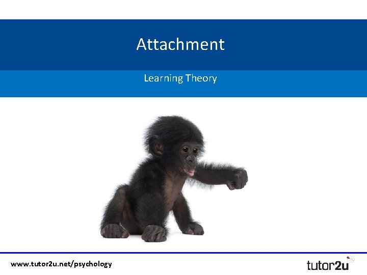 Attachment Learning Theory www. tutor 2 u. net/psychology 