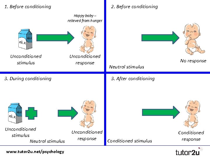 1. Before conditioning 2. Before conditioning Happy baby – relieved from hunger Unconditioned stimulus