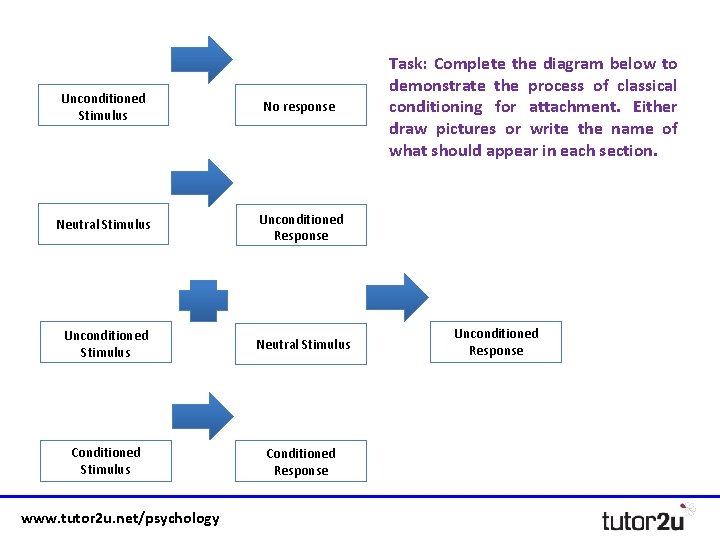 Unconditioned Stimulus No response Neutral Stimulus Unconditioned Response Unconditioned Stimulus Neutral Stimulus Conditioned Response