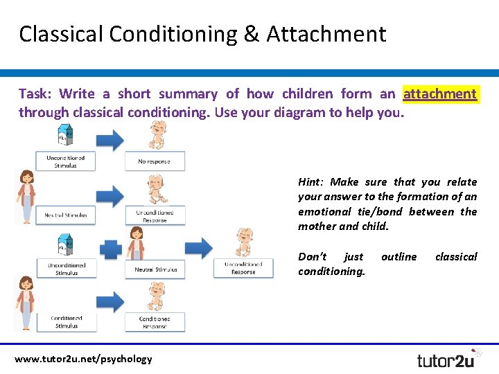Classical Conditioning & Attachment Task: Write a short summary of how children form an