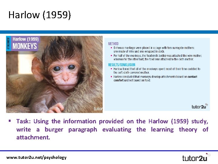Harlow (1959) § Task: Using the information provided on the Harlow (1959) study, write
