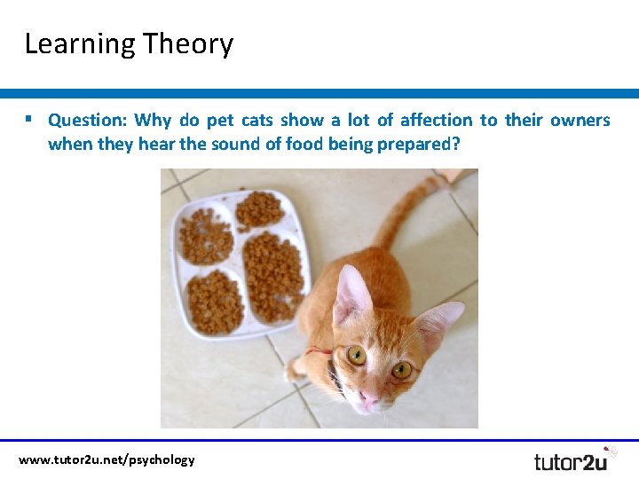 Learning Theory § Question: Why do pet cats show a lot of affection to