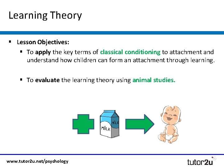 Learning Theory § Lesson Objectives: § To apply the key terms of classical conditioning