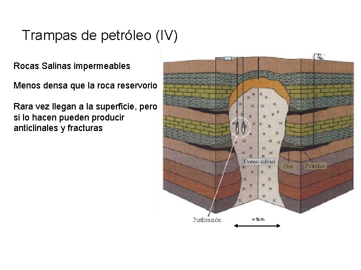 Trampas de petróleo (IV) Rocas Salinas impermeables Menos densa que la roca reservorio Rara