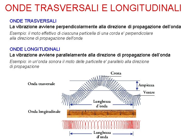 ONDE TRASVERSALI E LONGITUDINALI ONDE TRASVERSALI La vibrazione avviene perpendicolarmente alla direzione di propagazione ONDE TRASVERSALI E LONGITUDINALI ONDE TRASVERSALI La vibrazione avviene perpendicolarmente alla direzione di propagazione