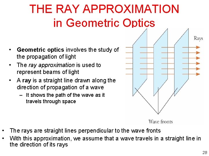 THE RAY APPROXIMATION in Geometric Optics • Geometric optics involves the study of the THE RAY APPROXIMATION in Geometric Optics • Geometric optics involves the study of the