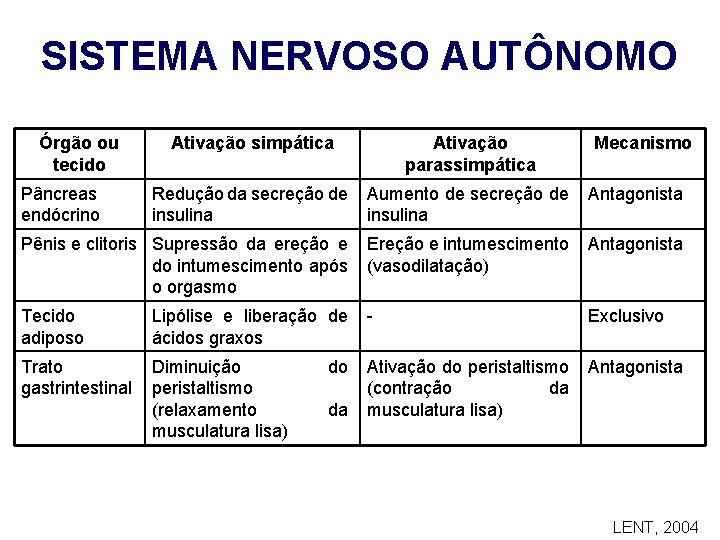 SISTEMA NERVOSO AUTÔNOMO Órgão ou tecido Ativação simpática Ativação parassimpática Redução da secreção de