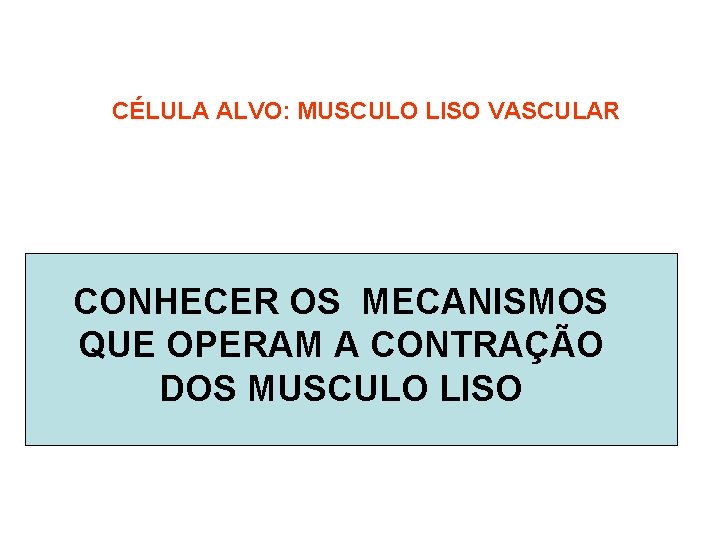 CÉLULA ALVO: MUSCULO LISO VASCULAR CONHECER OS MECANISMOS QUE OPERAM A CONTRAÇÃO DOS MUSCULO