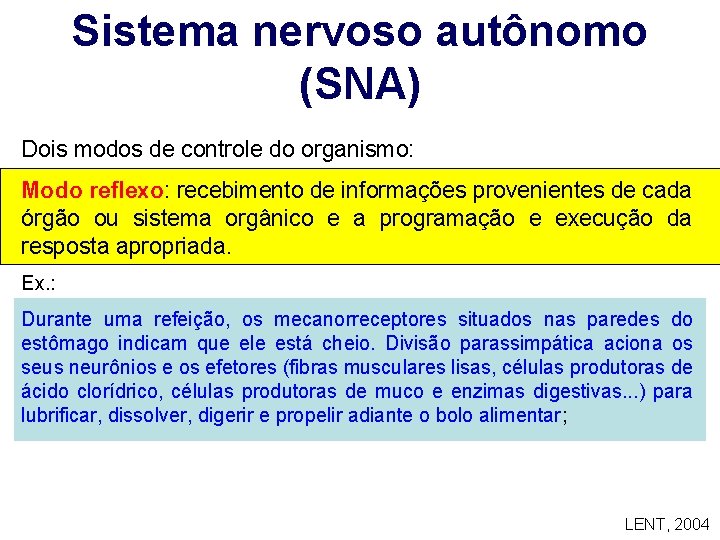 Sistema nervoso autônomo (SNA) Dois modos de controle do organismo: Modo reflexo: recebimento de