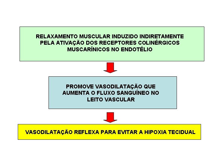 RELAXAMENTO MUSCULAR INDUZIDO INDIRETAMENTE PELA ATIVAÇÃO DOS RECEPTORES COLINÉRGICOS MUSCARÍNICOS NO ENDOTÉLIO PROMOVE VASODILATAÇÃO