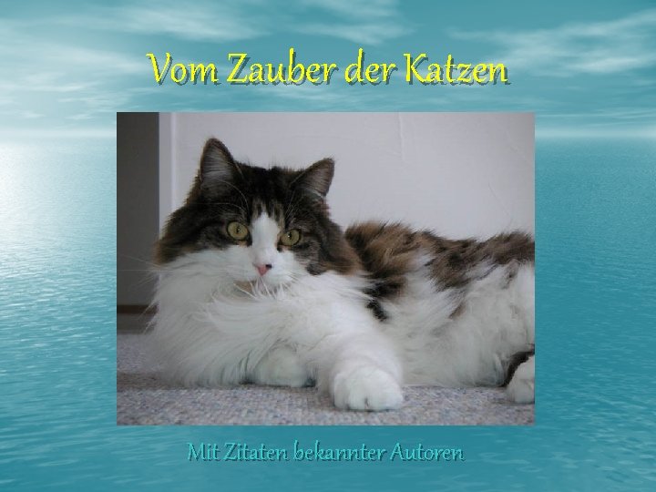 Vom Zauber der Katzen Mit Zitaten bekannter Autoren 