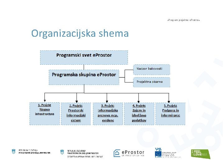 » Program projektov e. Prostor « Organizacijska shema 
