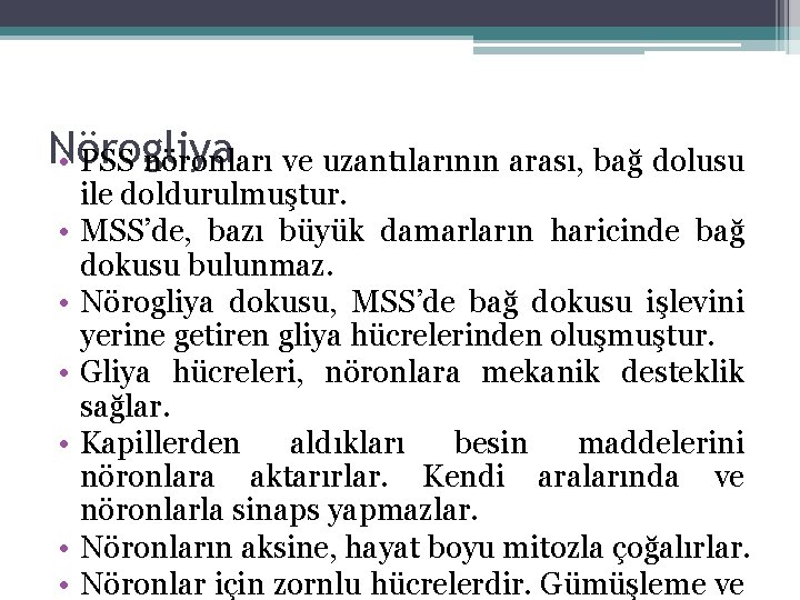 Nörogliya • PSS nöronları ve uzantılarının arası, bağ dolusu • • • ile doldurulmuştur. Nörogliya • PSS nöronları ve uzantılarının arası, bağ dolusu • • • ile doldurulmuştur.