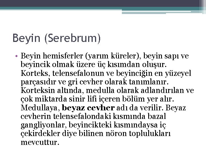 Beyin (Serebrum) • Beyin hemisferler (yarım küreler), beyin sapı ve beyincik olmak üzere üç Beyin (Serebrum) • Beyin hemisferler (yarım küreler), beyin sapı ve beyincik olmak üzere üç