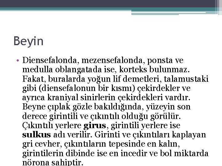 Beyin • Diensefalonda, mezensefalonda, ponsta ve medulla oblangatada ise, korteks bulunmaz. Fakat, buralarda yoğun Beyin • Diensefalonda, mezensefalonda, ponsta ve medulla oblangatada ise, korteks bulunmaz. Fakat, buralarda yoğun