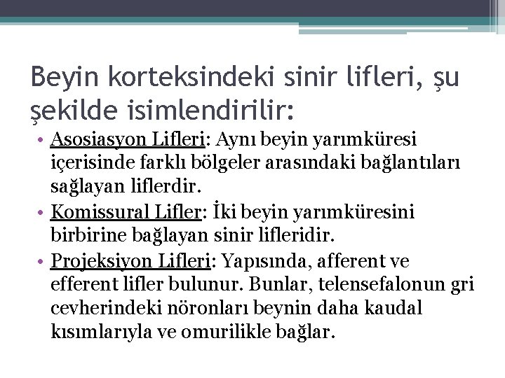 Beyin korteksindeki sinir lifleri, şu şekilde isimlendirilir: • Asosiasyon Lifleri: Aynı beyin yarımküresi içerisinde Beyin korteksindeki sinir lifleri, şu şekilde isimlendirilir: • Asosiasyon Lifleri: Aynı beyin yarımküresi içerisinde