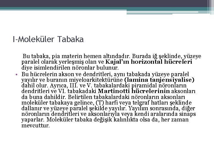 I-Moleküler Tabaka Bu tabaka, pia materin hemen altındadır. Burada iğ şeklinde, yüzeye paralel olarak I-Moleküler Tabaka Bu tabaka, pia materin hemen altındadır. Burada iğ şeklinde, yüzeye paralel olarak