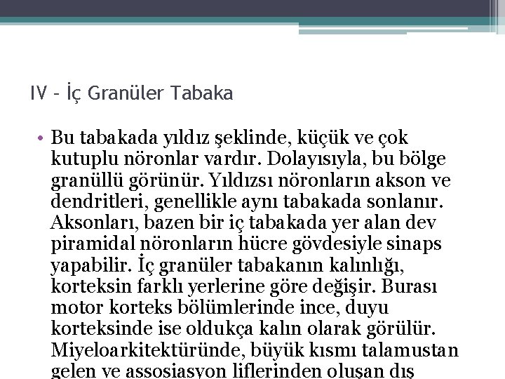 IV – İç Granüler Tabaka • Bu tabakada yıldız şeklinde, küçük ve çok kutuplu IV – İç Granüler Tabaka • Bu tabakada yıldız şeklinde, küçük ve çok kutuplu