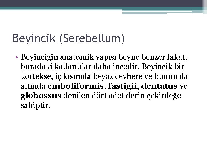 Beyincik (Serebellum) • Beyinciğin anatomik yapısı beyne benzer fakat, buradaki katlantılar daha incedir. Beyincik Beyincik (Serebellum) • Beyinciğin anatomik yapısı beyne benzer fakat, buradaki katlantılar daha incedir. Beyincik