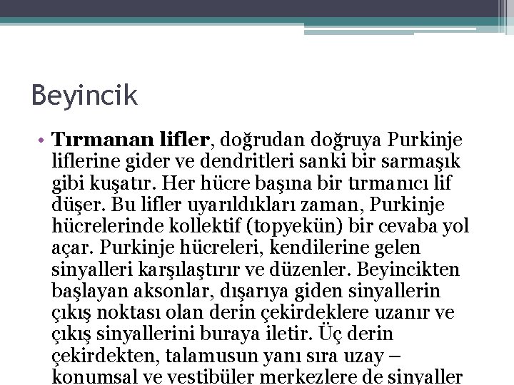 Beyincik • Tırmanan lifler, doğrudan doğruya Purkinje liflerine gider ve dendritleri sanki bir sarmaşık Beyincik • Tırmanan lifler, doğrudan doğruya Purkinje liflerine gider ve dendritleri sanki bir sarmaşık