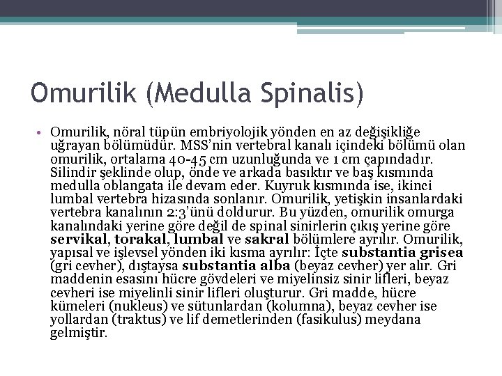 Omurilik (Medulla Spinalis) • Omurilik, nöral tüpün embriyolojik yönden en az değişikliğe uğrayan bölümüdür. Omurilik (Medulla Spinalis) • Omurilik, nöral tüpün embriyolojik yönden en az değişikliğe uğrayan bölümüdür.