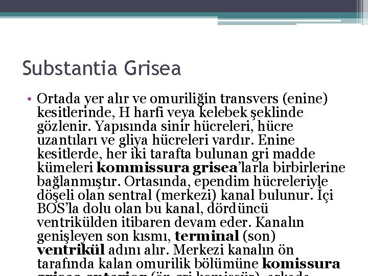 Substantia Grisea • Ortada yer alır ve omuriliğin transvers (enine) kesitlerinde, H harfi veya Substantia Grisea • Ortada yer alır ve omuriliğin transvers (enine) kesitlerinde, H harfi veya