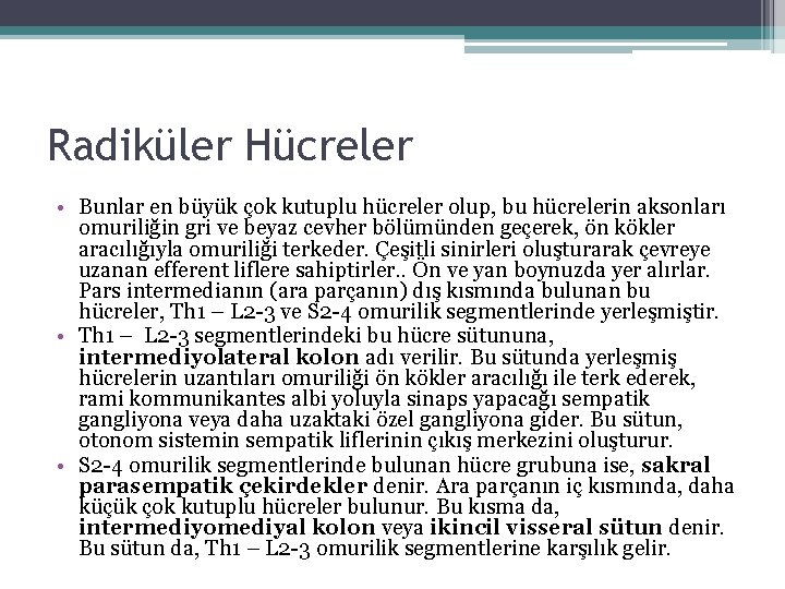 Radiküler Hücreler • Bunlar en büyük çok kutuplu hücreler olup, bu hücrelerin aksonları omuriliğin Radiküler Hücreler • Bunlar en büyük çok kutuplu hücreler olup, bu hücrelerin aksonları omuriliğin