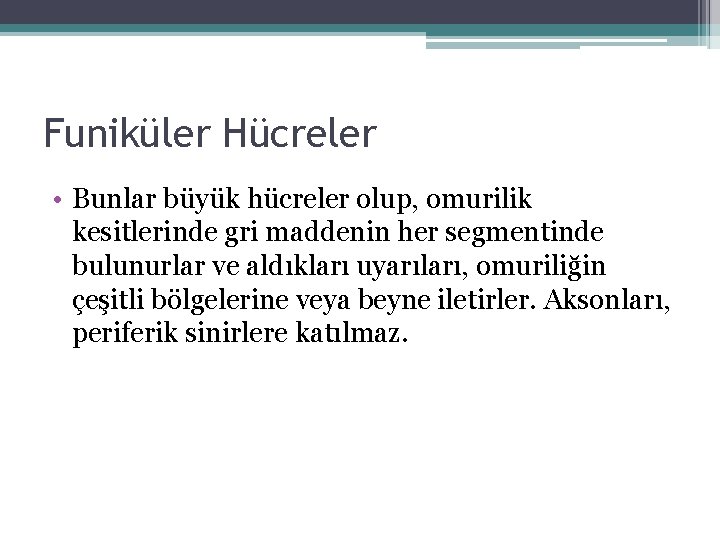 Funiküler Hücreler • Bunlar büyük hücreler olup, omurilik kesitlerinde gri maddenin her segmentinde bulunurlar Funiküler Hücreler • Bunlar büyük hücreler olup, omurilik kesitlerinde gri maddenin her segmentinde bulunurlar