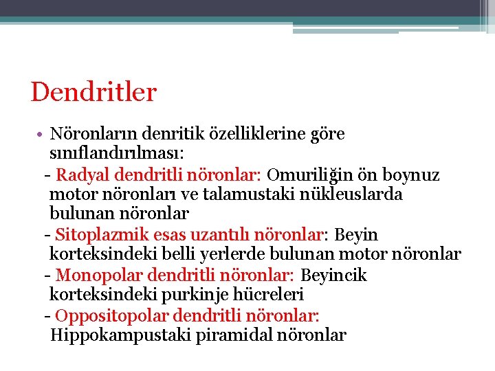 Dendritler • Nöronların denritik özelliklerine göre sınıflandırılması: - Radyal dendritli nöronlar: Omuriliğin ön boynuz Dendritler • Nöronların denritik özelliklerine göre sınıflandırılması: - Radyal dendritli nöronlar: Omuriliğin ön boynuz