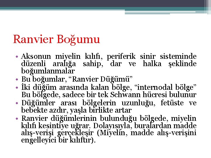 Ranvier Boğumu • Aksonun miyelin kılıfı, periferik sinir sisteminde düzenli aralığa sahip, dar ve Ranvier Boğumu • Aksonun miyelin kılıfı, periferik sinir sisteminde düzenli aralığa sahip, dar ve