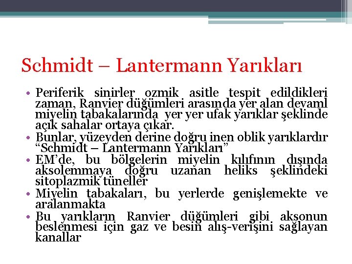 Schmidt – Lantermann Yarıkları • Periferik sinirler ozmik asitle tespit edildikleri zaman, Ranvier düğümleri Schmidt – Lantermann Yarıkları • Periferik sinirler ozmik asitle tespit edildikleri zaman, Ranvier düğümleri