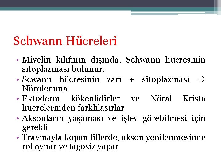 Schwann Hücreleri • Miyelin kılıfının dışında, Schwann hücresinin sitoplazması bulunur. • Scwann hücresinin zarı Schwann Hücreleri • Miyelin kılıfının dışında, Schwann hücresinin sitoplazması bulunur. • Scwann hücresinin zarı