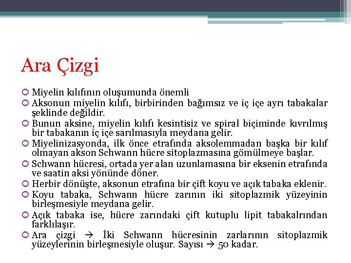 Ara Çizgi Miyelin kılıfının oluşumunda önemli Aksonun miyelin kılıfı, birbirinden bağımsız ve iç içe Ara Çizgi Miyelin kılıfının oluşumunda önemli Aksonun miyelin kılıfı, birbirinden bağımsız ve iç içe